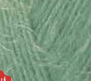 Nako Paris 100gr 13944-OKALİPTUS